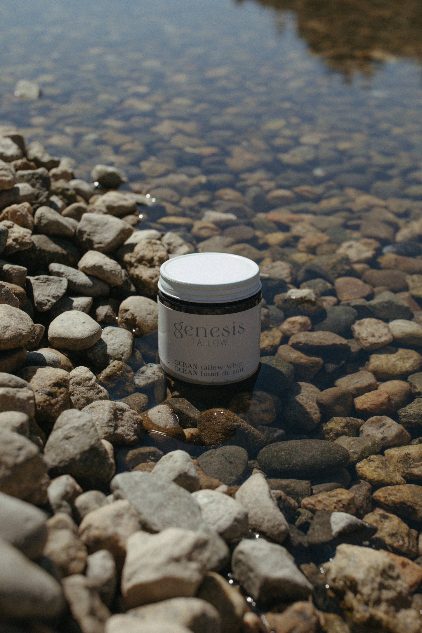 Ocean Tallow Whip- Beef Tallow Body Moisturizer