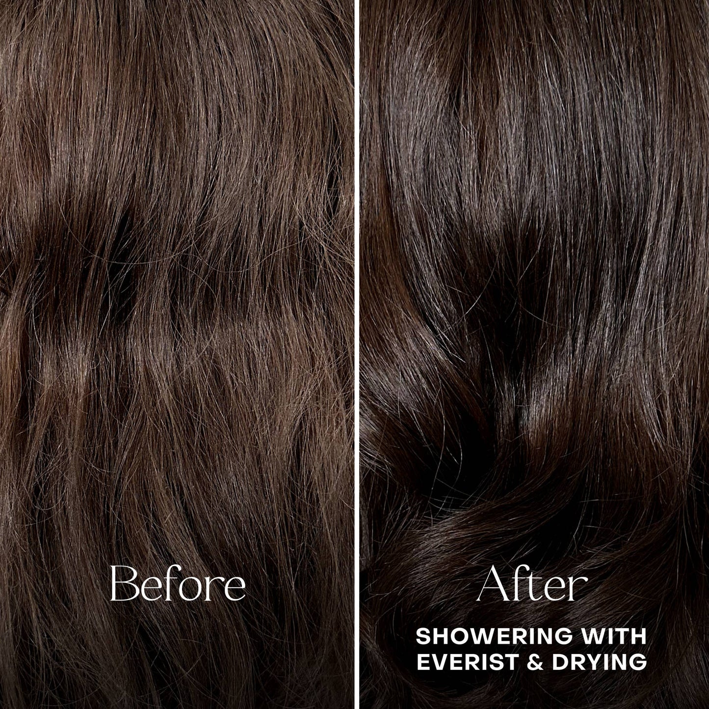The Shampoo Concentrate Travel Mini