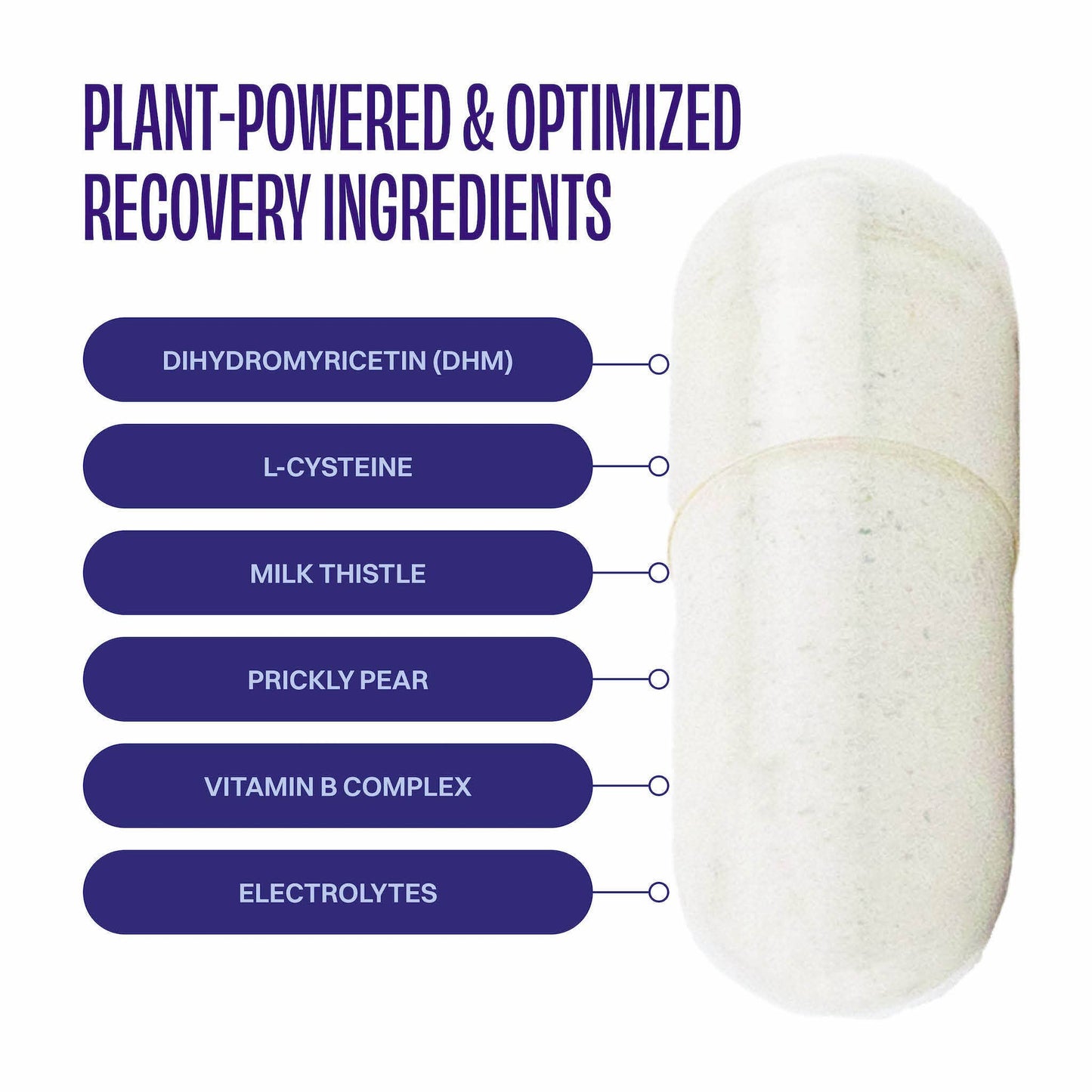 DHM Detox Recovery Blend