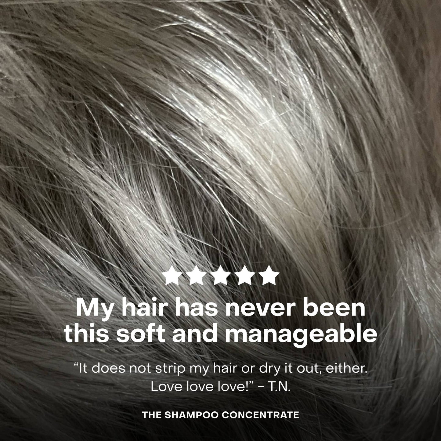 The Shampoo Concentrate Travel Mini