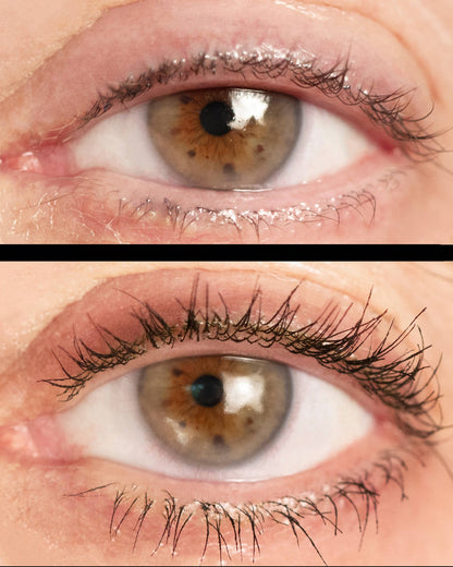 Lash Tint Mascara Black